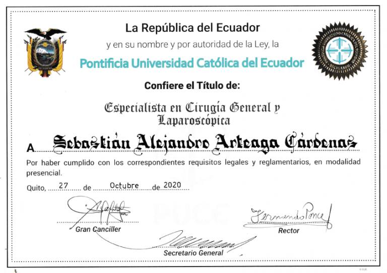 Titulo-1